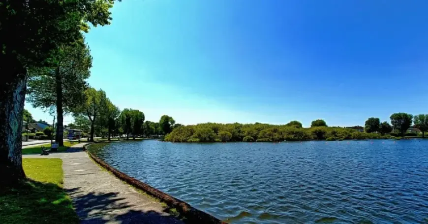 Cork Weather Turns Mild Before Midweek Downpours, Sunshine Expected By Friday