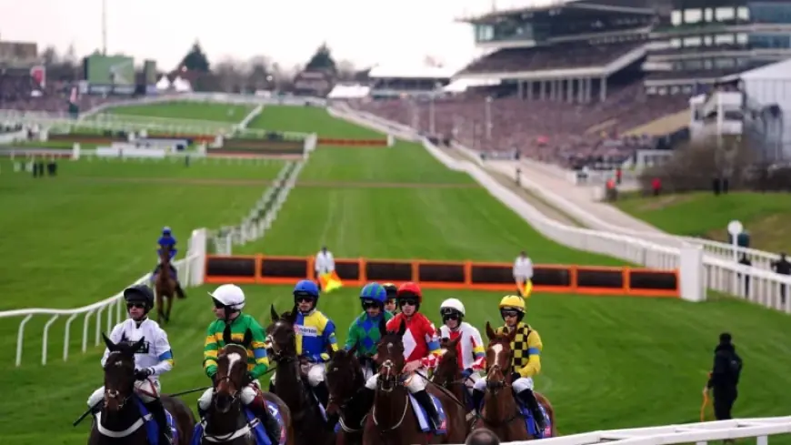 Good to Soft Start, Re-sited Hurdles Await Cheltenham Runners After Watering