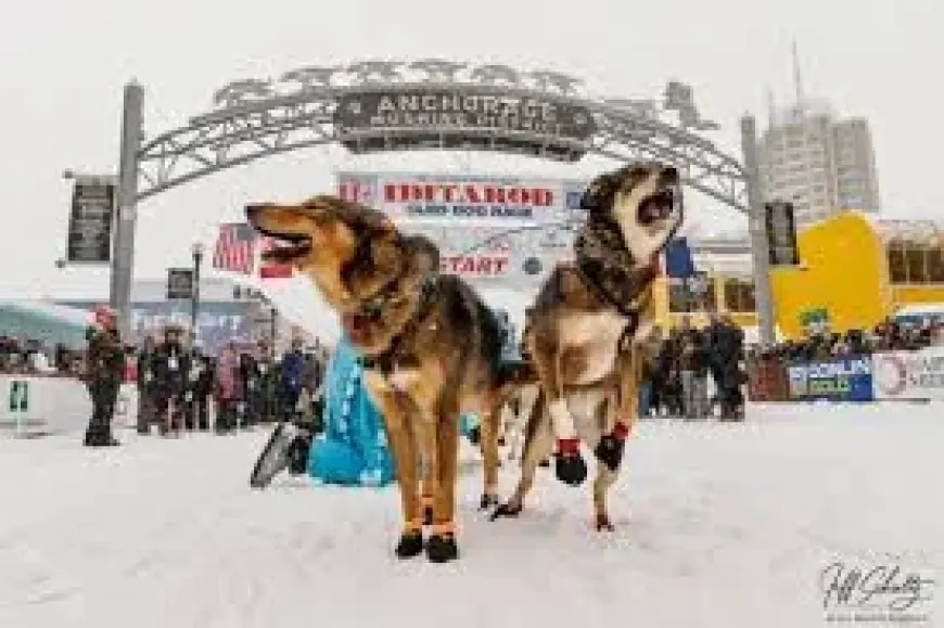 Iditarod 54 begins as Willow restart turns ceremony into official race