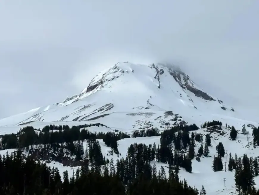 Updated Snow Forecast: Likely Accumulation Areas in Portland and Region