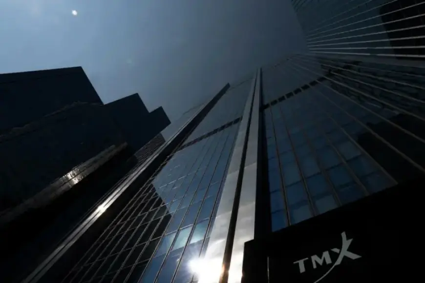 TSX Short Sales: Bearish Investors Target Key Stocks