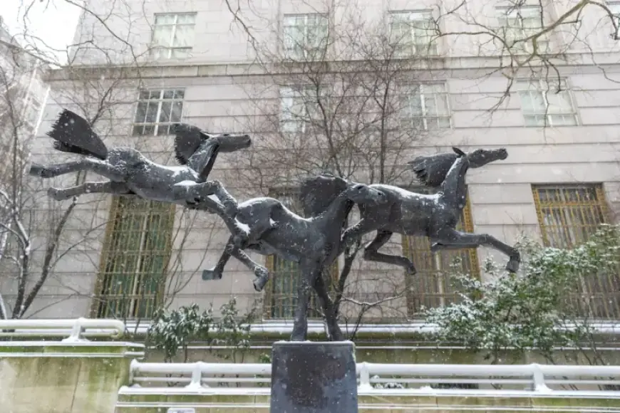 Cold Front Brings Potential Snow to Portland This Week