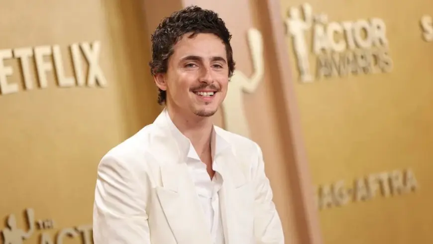 Timothée Chalamet Opera Controversy: Doja Cat, Met Opera, and the Oscars Fallout