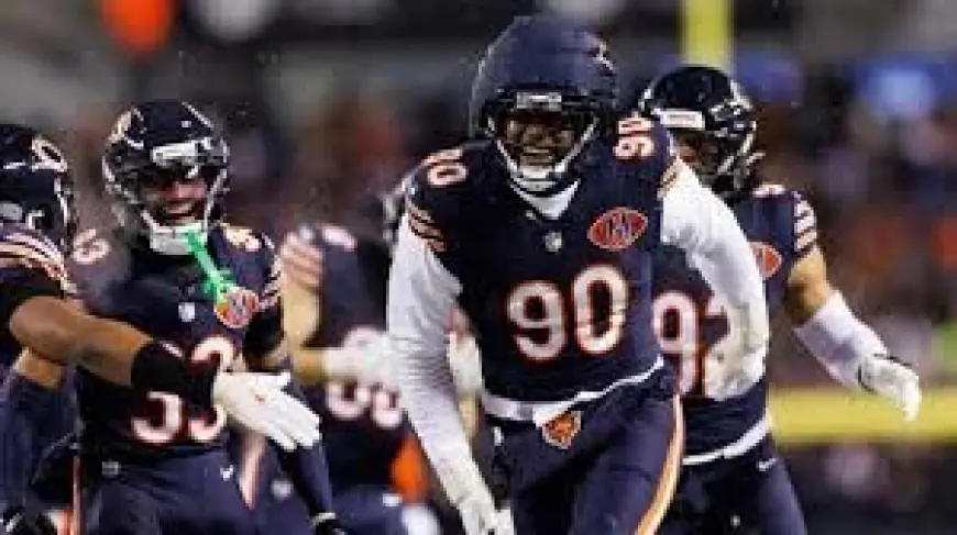 Texans Nfl Free Agent Signings: Big Names vs Smart Signings Examined