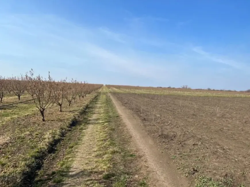 ANM Forecast Shows Warmer Early March; Vremea De Mâine Points Toward Drier Trends