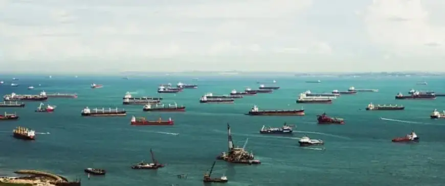 Chokepoint Economy Unveiled: Consequences of Collective System Failures