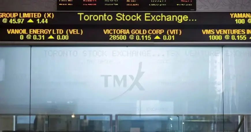 U.S. and TSX Stock Markets Rebound, Recover Early Losses