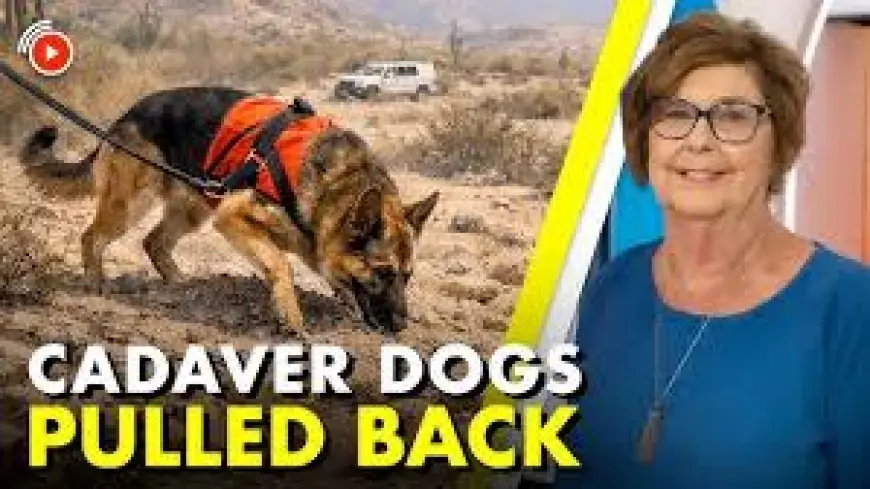Nancy Guthrie Update Today: Day 39 — Cadaver Dogs Pulled Back, Elder Abuse Theory Surfaces, Sheriff Says "Definitely Closer"