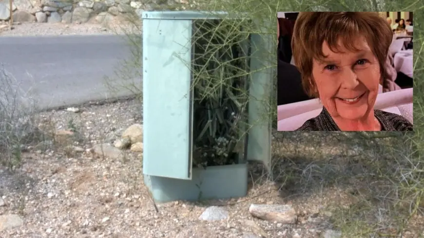 Nancy Guthrie Update Today As Investigators Review Key Technical Lead