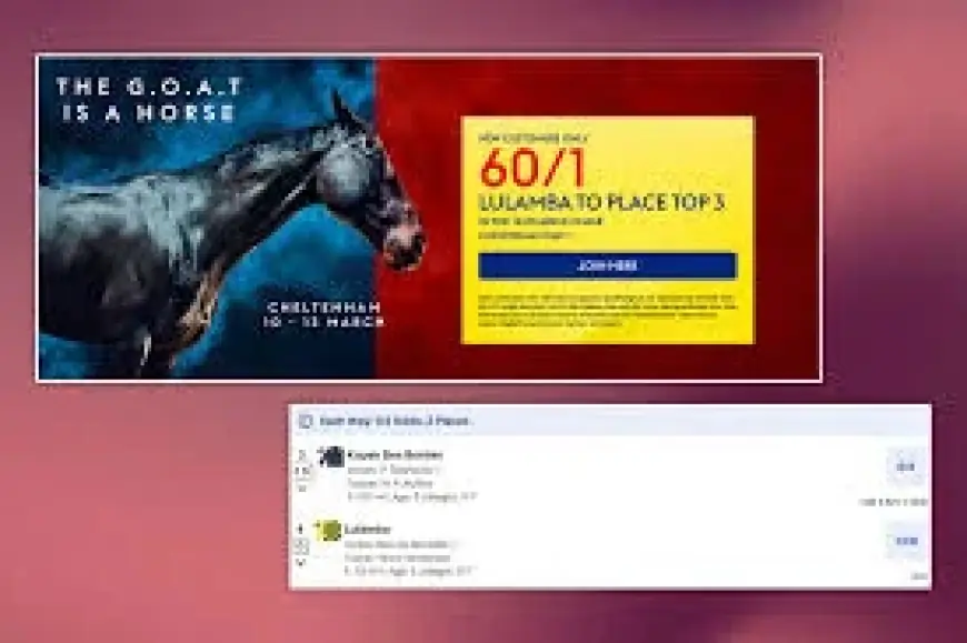 Skybet headline contrasts with Paddy Power’s 60/1 Arkle specials on Lulamba and Kopek Des Bordes