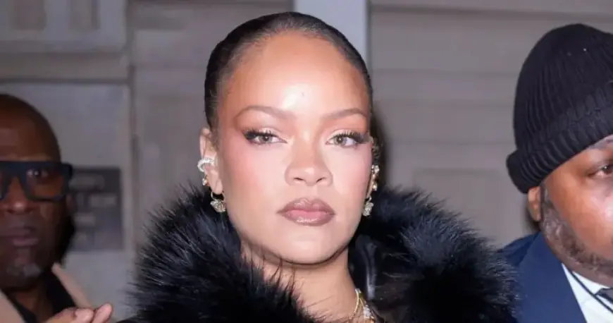 Florida Woman Fires AR-15 at Rihanna’s Residence
