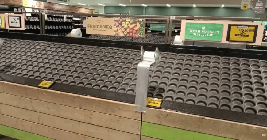Panic Buying Supermarkets: Empty Aisles and the Human Cost of a Supply ‘Perfect Storm’