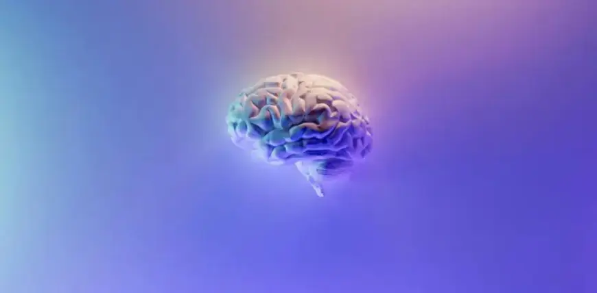 Cognitive Science Warns Against Relying on AI for Thinking