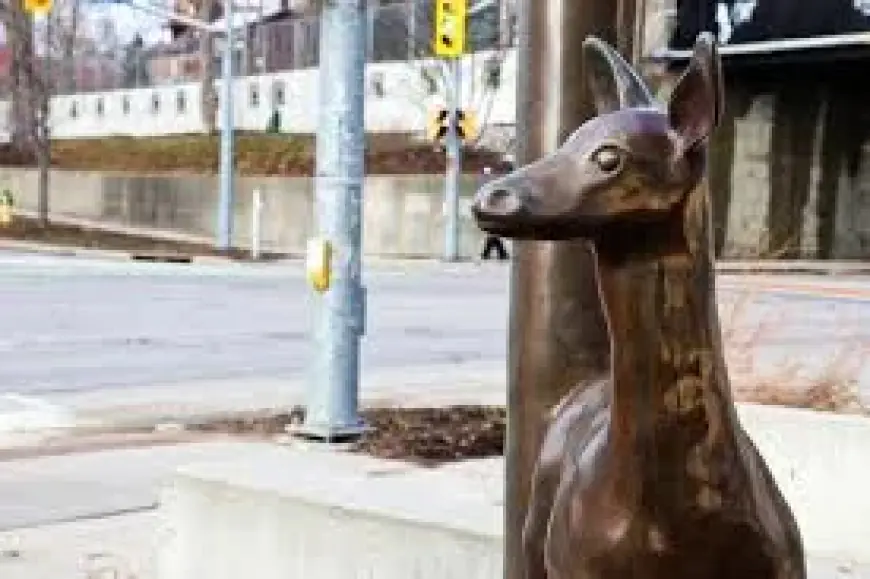 Guelph Weather: Snow, ice and flood risks sweep across Ontario