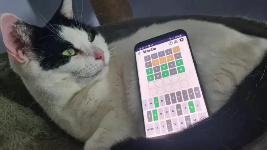 New York Times Wordle: A tough March 10 puzzle leaves players weighing hints against spoilers