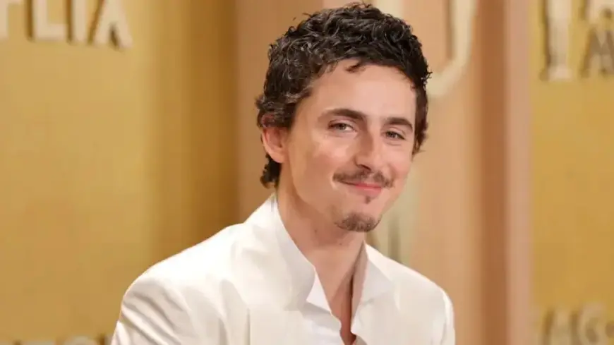 Timothée Chalamet’s Ballet and Opera Comments Spark Controversy: Explained