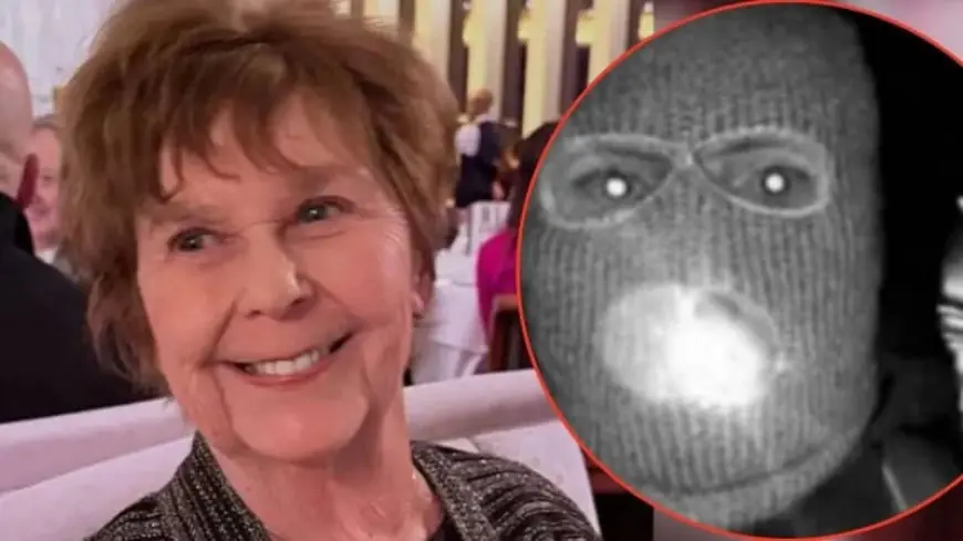 Nancy Guthrie Update: Day 38, Investigators Zero In on Utility Box and Digital Evidence