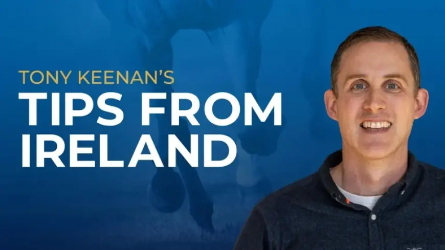 Irish Racing at Naas: Tony Keenan lines up key plays and pitfalls for Sunday