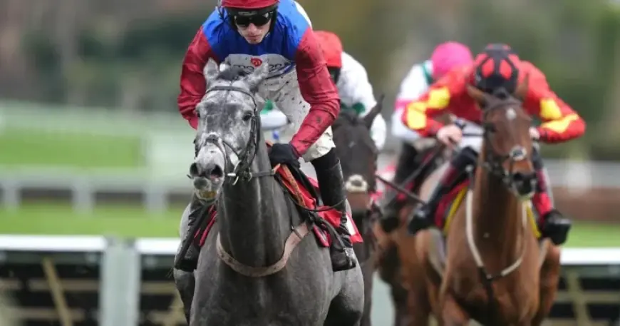 Racing Tv narrative flattens Cheltenham legacy in the No Drama This End story