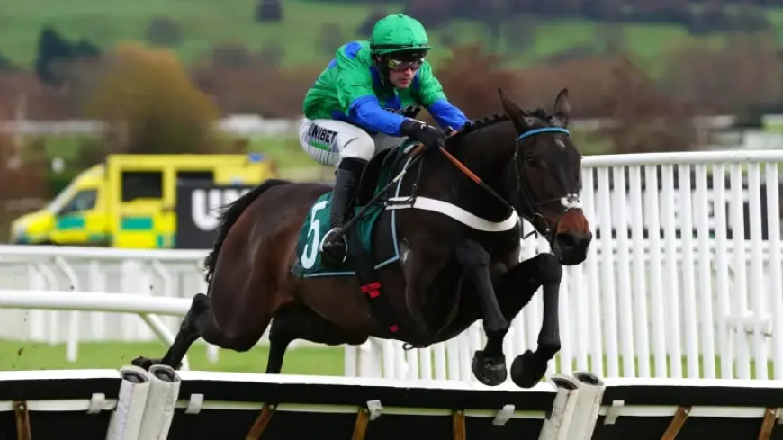 Old Park Star favoured despite market doubts as panel splits on Supreme Novices’ Hurdle