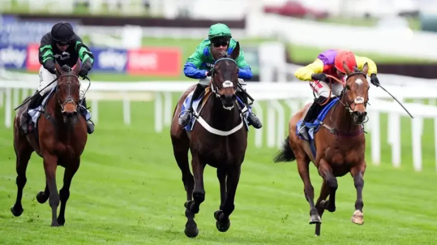 Nico De Boinville’s Ride on Old Park Star Shifts Supreme Novices’ Hurdle Momentum at Cheltenham