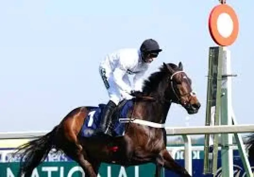 Nicky Henderson: ‘If you want soft, you haven’t got it’ — Cheltenham Farewell Reveals Five Plain Truths