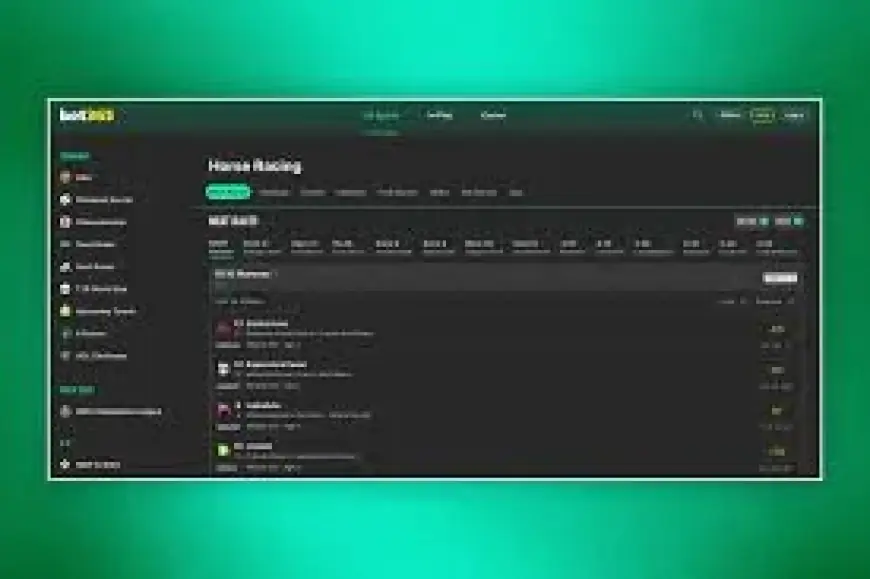 Kopek Des Bordes: Why the 60/1 Arkle Gamble Has a Festival-Shaping Edge