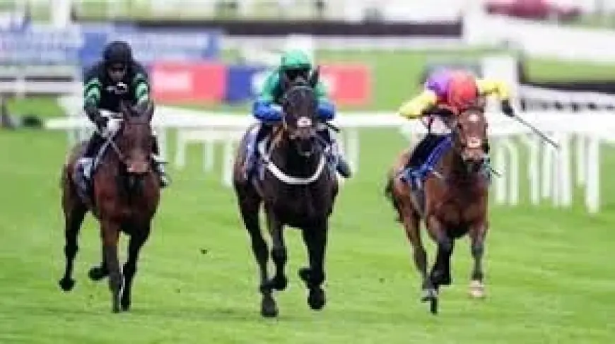 Cheltenham Results: Kargese Rocks the Arkle, Saratoga Stars on Day One