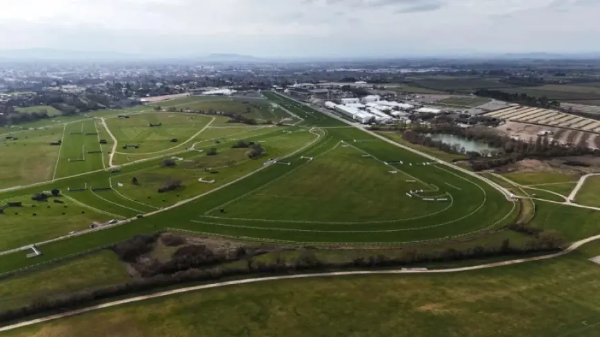 Hansard Horse Dies after Fall in Singer Arkle at Cheltenham Festival