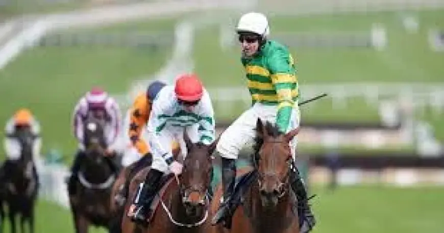 Constitution Hill’s walk-on part exposes an uneasy truth at Cheltenham