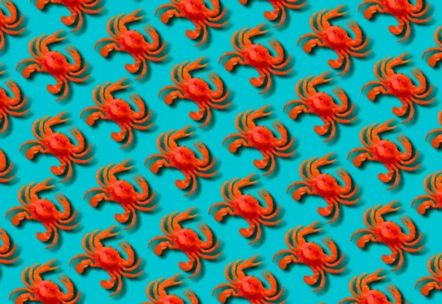 Meta Acquires Viral AI Network Moltbook Amid Fake Post Controversy