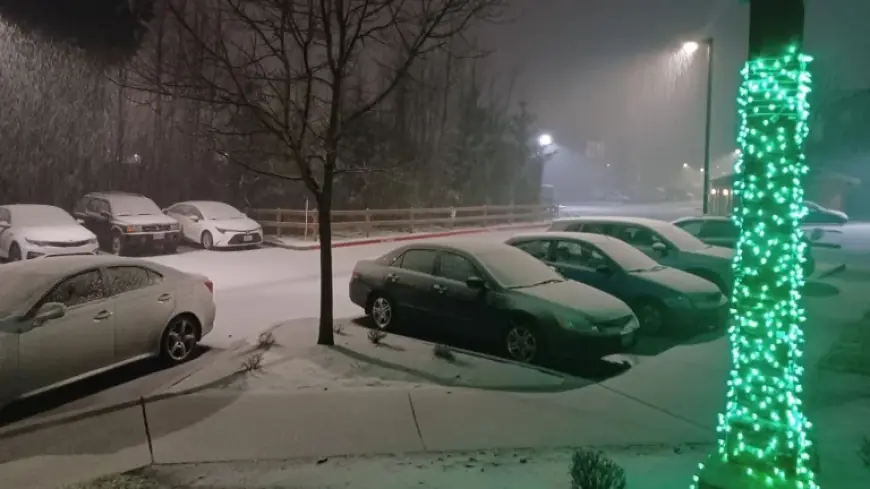 Winter Storm Warning: Cascades brace for blizzard conditions as North Sound wakes to surprise snow