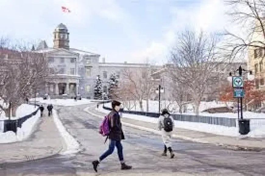 Mcgill University: Péladeau loses bid to remake Transat’s board and what it means for shareholders