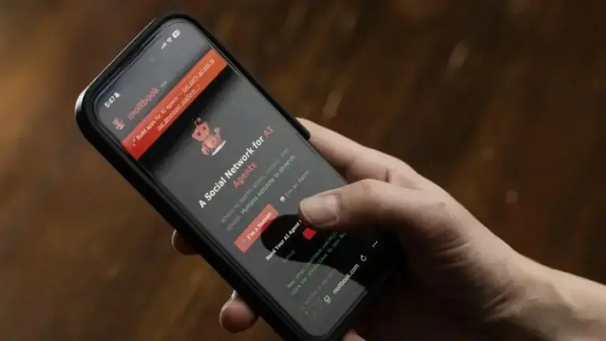 Meta Acquires Popular AI Bot Social Network