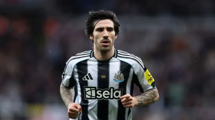 Tonali at the Center of a Summer Battle as Real Madrid Join Arsenal and Newcastle Hold Firm