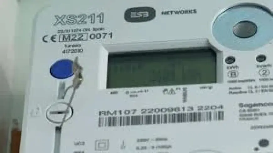 ESB apology over Smart Meters glitch contrasts with supplier billing pause