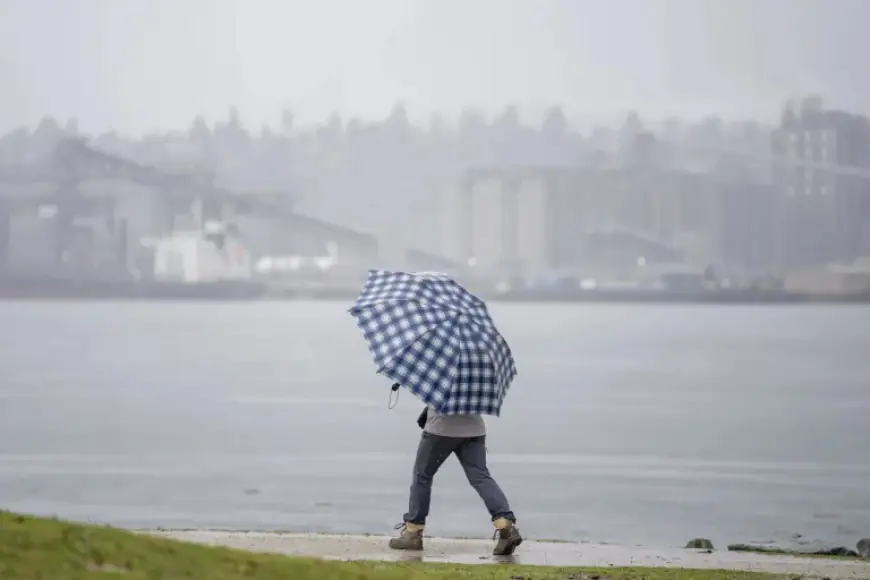 Weather Vancouver Snow: Vancouver Moves Closer to First No-Snow Winter Since 1982-83