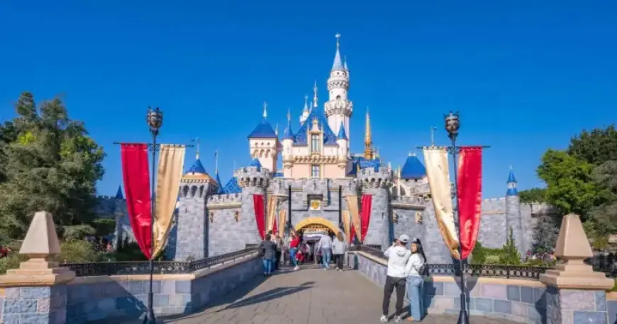Hazmat Incident at Disneyland: 5 Employees Treated for Exposure
