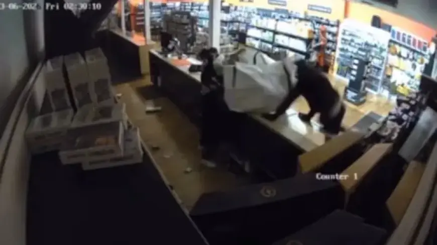 Massive Damage as Pokemon Cards Worth Thousands Stolen in B.C.’s Lower Mainland