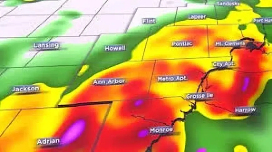 Mi access: Metro Detroit forecast detail vs browser support notice