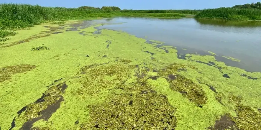 Earth Quake Swarm Near Edgefield Points Toward Ongoing Red River Parish Activity