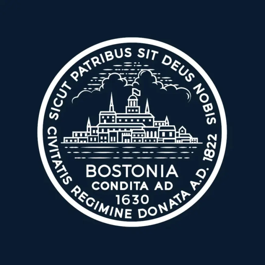 Boston schedules 311 Day as the city spotlights service volume and access