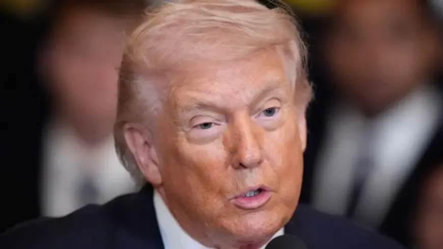 Trumprx Gov vs Trump Rx: What the early rollout reveals