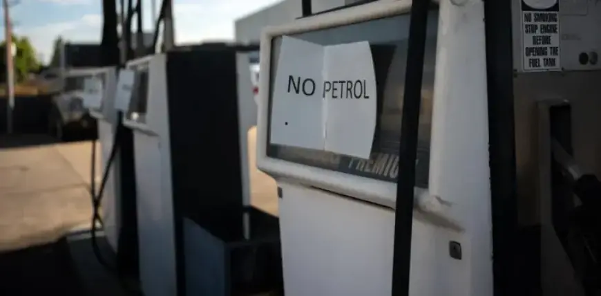 Why Panic Buying Worsens Shortages: Analyzing Behavioral Triggers