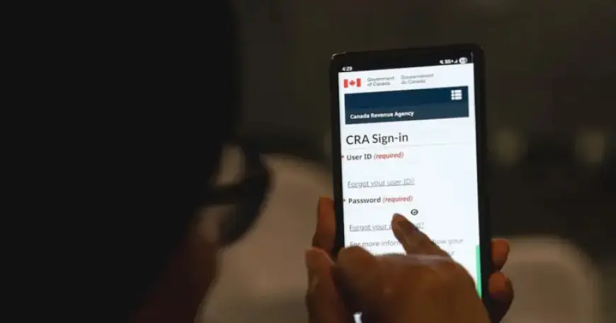 Maximize Your Tax Return: Expert Tips to Boost Your Refund