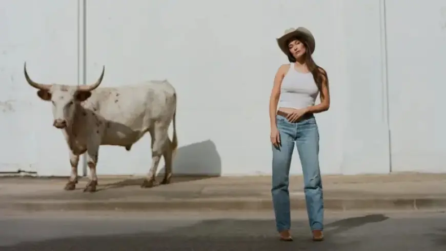 Kacey Musgraves Unveils New Single ‘Dry Spell’ from Upcoming Album on NPR