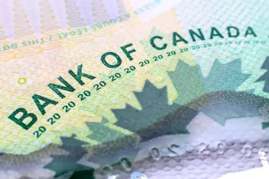 March Bank of Canada Interest Rate Update: What to Anticipate