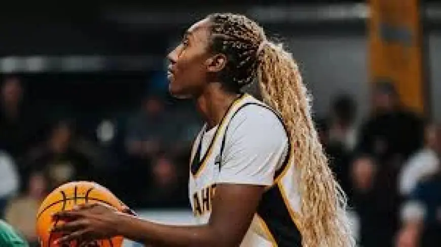 Montana Basketball: Idaho title game buildup runs into information blackout