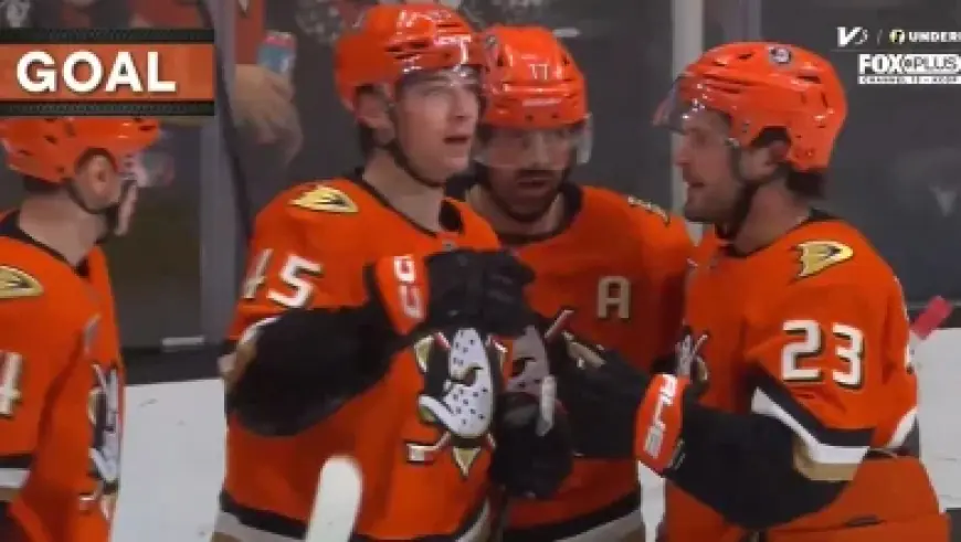 Hornets Face Kings in Must-Win West Coast Visit