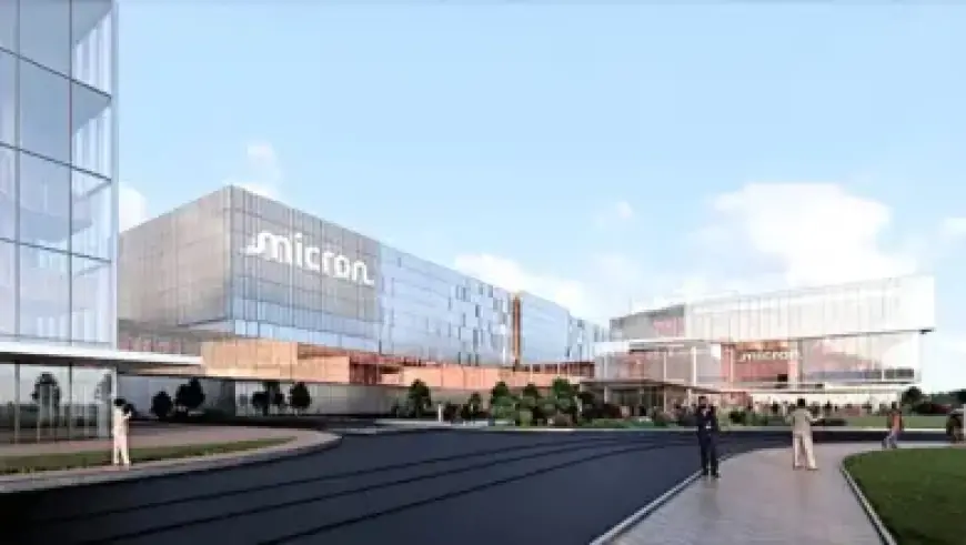 Fuel Shortage Leaves Avocados to Rot, Sparking Outrage